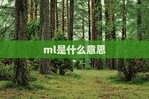 ml是什么意思